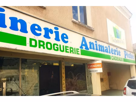 vente locaux professionnels 370 m² à l'ile-bouchard (37220)  111 000 €