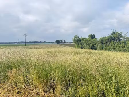 vente terrain à batir 1590 m² à brabant-le-roi (55800)  18 000 €