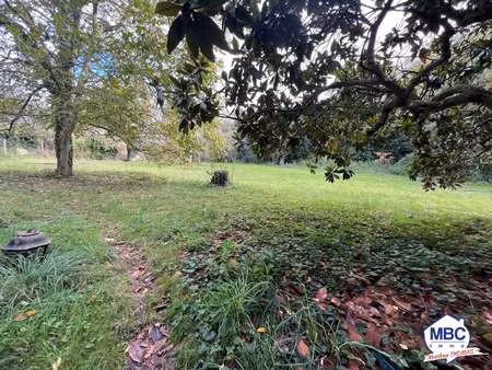 vente terrain à saint-florent-le-vieil (49410) : à vendre / saint-florent-le-vieil