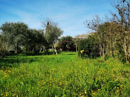 coudoux  terrain constructible 655m2