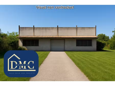 achat local professionnel 200m² auterive 31190