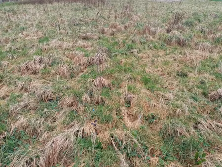 terrain à vendre normanville 704m2 63 000€