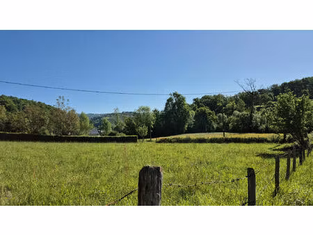 vente terrain 2131 m² bessuéjouls (12500)