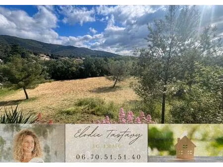 terrain constructible