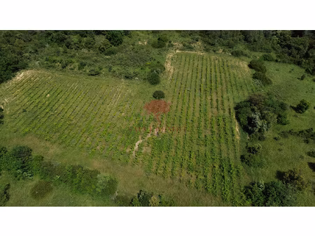 exclusif  a vendre vignes et parcelles de landes sur le sec