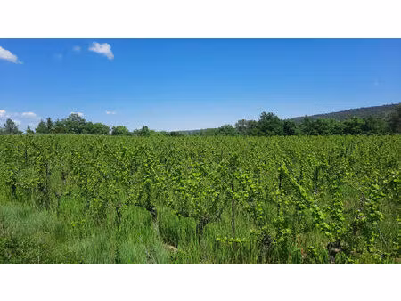 vente terrain 8600 m² cannes-et-clairan (30260)