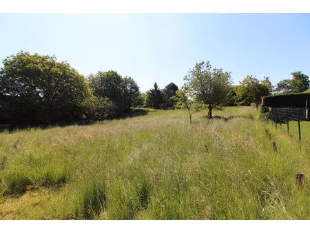 terrain saint amour 2248 m2 constructible avec cu validé