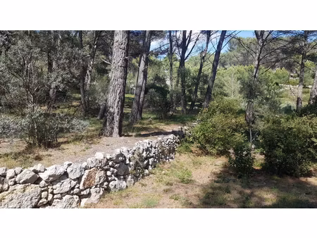 terrain de loisirs (non constructible)