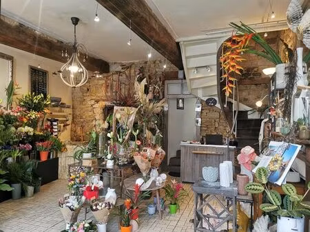 vente commerce 127 m² guichen (35580)