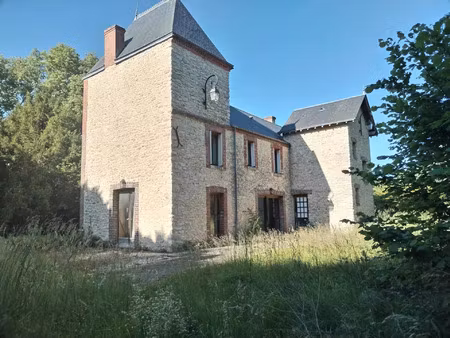 vente maison 8 pièces 370 m² montcresson (45700)
