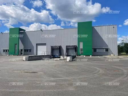 location local d'activités blanquefort 33290