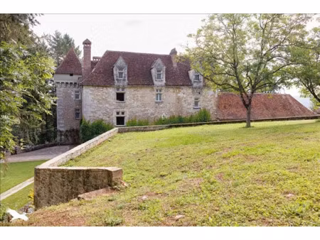 vente maison 10 pièces 490 m² à meyssac (19500)  2 200 000 €