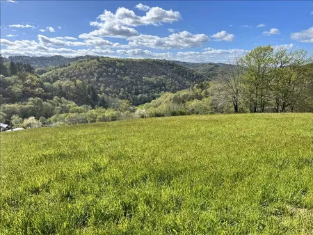 vente terrain à argentat-sur-dordogne (19400)  28 750 €