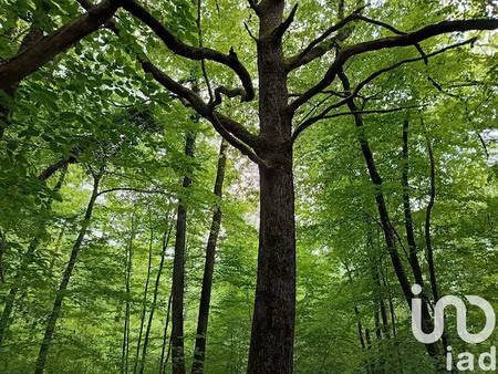 vente terrain 8960 m² à saint-sulpice-de-pommeray (41000)  17 000 €