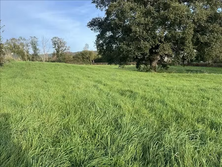 vente terrain à vaux (03190)  17 000 €