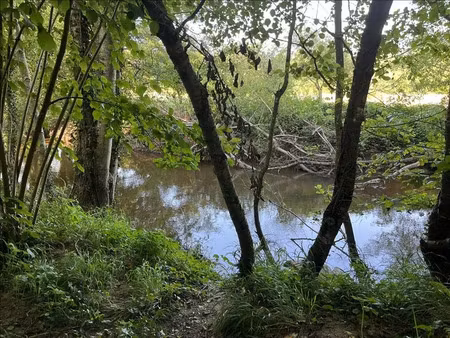vente terrain à la châtre (36400)  10 000 €