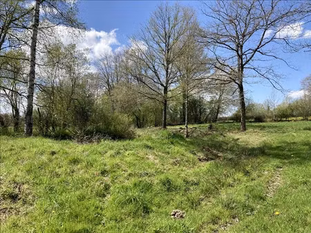 vente terrain 2430 m² à lourdoueix-saint-michel (36140)  9 000 €