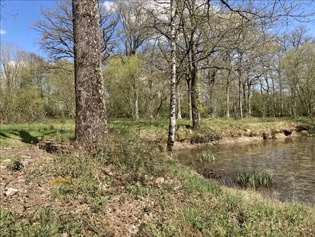 vente terrain à lourdoueix-saint-michel (36140)  9 000 €