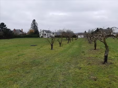 vente terrain 1474 m² à palluau-sur-indre (36500)  10 370 €