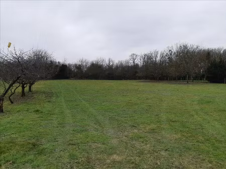 vente terrain à palluau-sur-indre (36500)  10 370 €