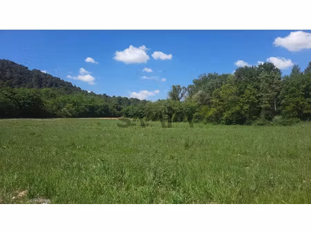 vente terrain 15045 m² à cannes-et-clairan (30260)  16 000 €