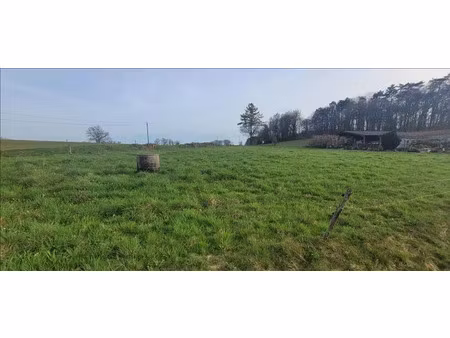 vente terrain 3000 m² à bassignac-le-bas (19430)  22 420 €