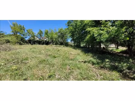 vente terrain 4560 m² à nonards (19120)  20 000 €