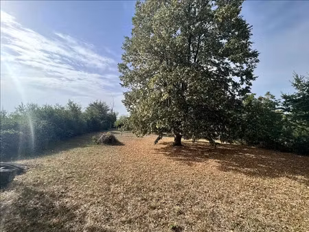 vente terrain 2230 m² à saint-baudel (18160)  23 300 €