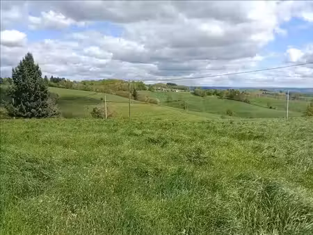 vente terrain 2500 m² à albussac (19380)  31 625 €
