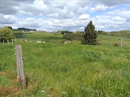 vente terrain à albussac (19380)  31 625 €