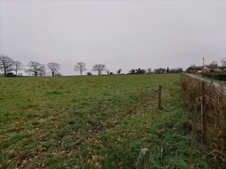 vente terrain 2165 m² à saint-genest (03310)  23 300 €