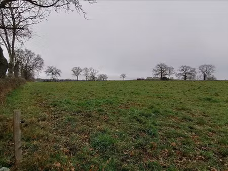 vente terrain 2780 m² à saint-genest (03310)  23 300 €