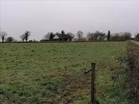 vente terrain à saint-genest (03310)  23 300 €