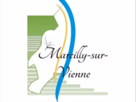 vente terrain à marcilly-sur-vienne (37800)  31 625 €
