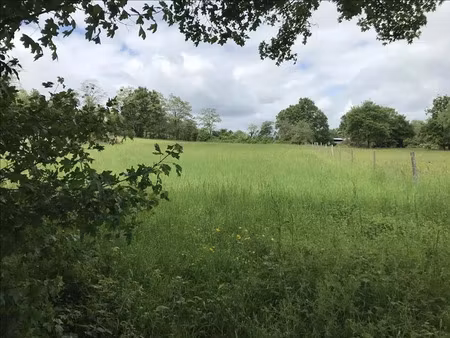 vente terrain 2966 m² à saint-amand-montrond (18200)  35 000 €