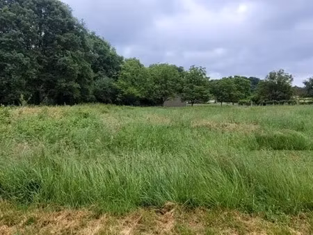 vente terrain 2457 m² à altillac (19120)  41 000 €