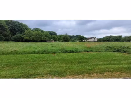vente terrain à altillac (19120)  41 000 €