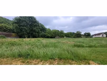 vente terrain 2457 m² à altillac (19120)  41 000 €