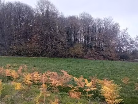 vente terrain 8315 m² à saint-jal (19700)  34 200 €