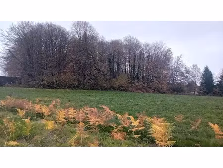 vente terrain à saint-jal (19700)  34 200 €