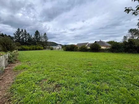 vente terrain à argentat-sur-dordogne (19400)  35 000 €