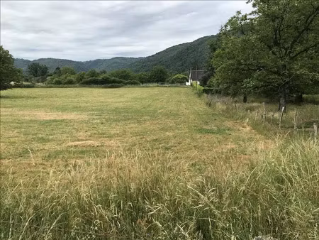 vente terrain 3691 m² à monceaux-sur-dordogne (19400)  50 625 €