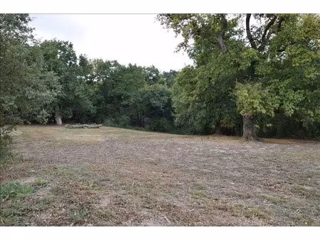 vente terrain 5050 m² à projan (32400)  53 760 €