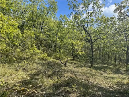 vente terrain 5047 m² à cuzance (46600)  56 000 €