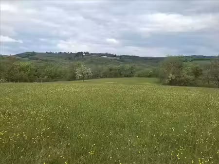 vente terrain 7035 m² à saint-cirq-souillaguet (46300)  56 000 €