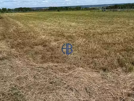 vente terrain 1581 m² à viriville (38980)  95 000 €