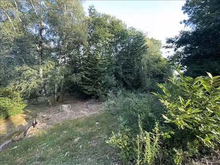 vente terrain 22176 m² à aubazines (19190)  108 500 €