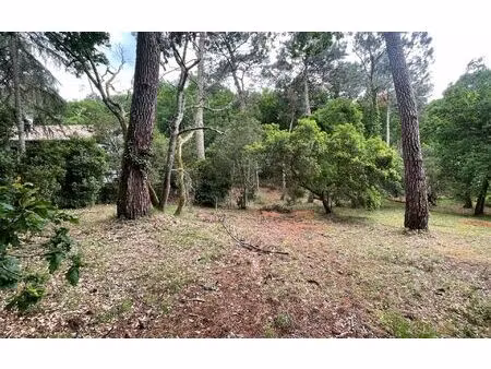 terrain arcachon m² t- à vendre  1 352 000 €