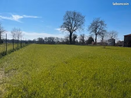 terrain / jardin avec clôture grillagée