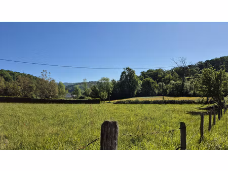 achat terrain 2 131m² bessuejouls 12500